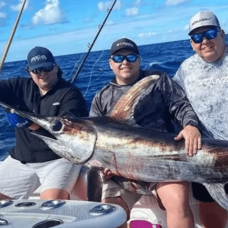 Half day sailfish and swordfish sportfishing charter trip offshore Islamorada aboard 37-foot Freeman